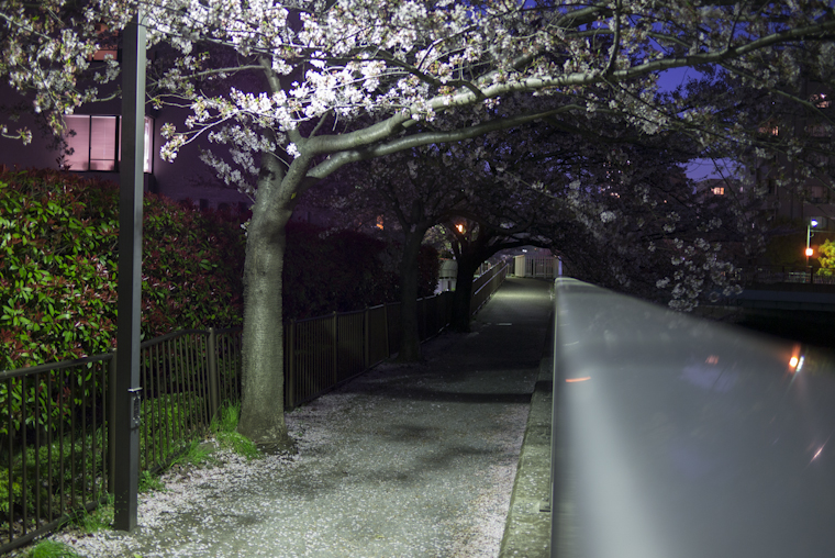 view from railing // fukagawa